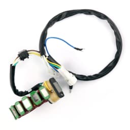 Areyourshop Motorcycle Generator Stator Coil for Yamaha TTR225 TT-R225 1999-04 XT225 Serow 225 2001-07 4JG-85510-01-00 Motorbike