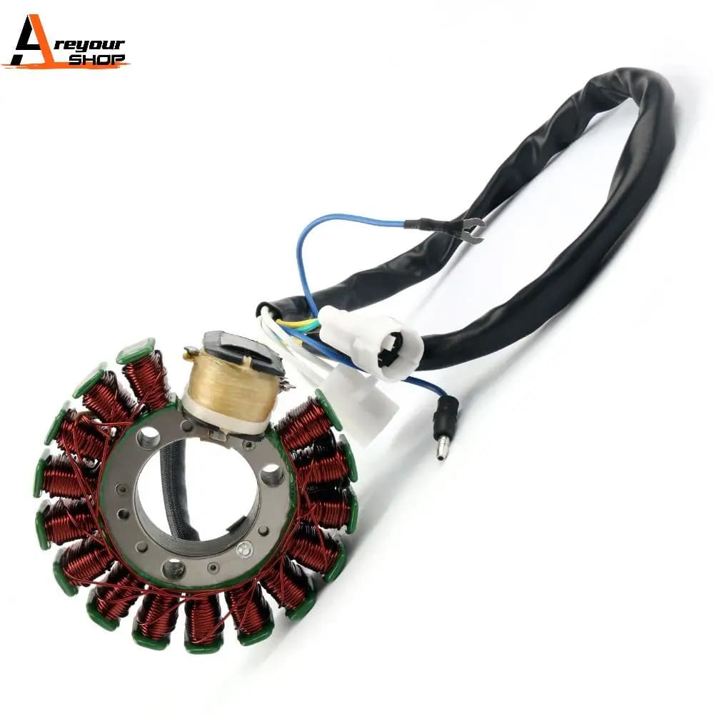 Areyourshop Motorcycle Generator Stator Coil for Yamaha TTR225 TT-R225 1999-04 XT225 Serow 225 2001-07 4JG-85510-01-00 Motorbike