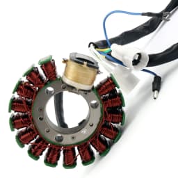 Areyourshop Motorcycle Generator Stator Coil for Yamaha TTR225 TT-R225 1999-04 XT225 Serow 225 2001-07 4JG-85510-01-00 Motorbike
