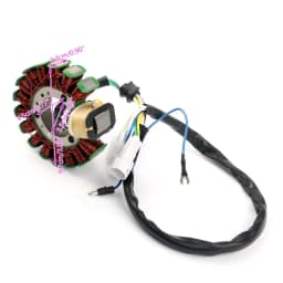 Areyourshop Motorcycle Generator Stator Coil for Yamaha TTR225 TT-R225 1999-04 XT225 Serow 225 2001-07 4JG-85510-01-00 Motorbike