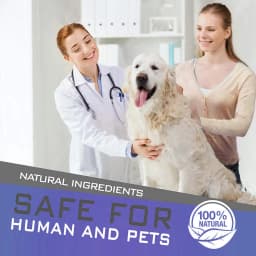 Dewel Dog Collar Anti Flea Mosquitoes Ticks Insect Waterproof Herbal Pet Collar 8 Months Protection Dog Accessories