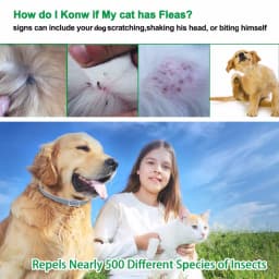 Dewel Dog Collar Anti Flea Mosquitoes Ticks Insect Waterproof Herbal Pet Collar 8 Months Protection Dog Accessories
