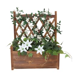 Raised Garden Bed with Trellis - Garden Box for Vine Climbing Plants Flower Free-Standing Raised Planter for Patio Garden Indoor