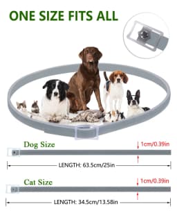 Dewel Pet Dog Collar Anti Flea Ticks Mosquitoes Outdoor Protective Adjustable PET Collar 8 Months Long-term Protection