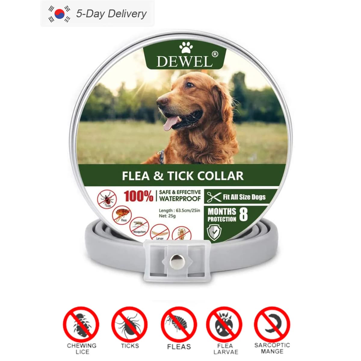 Dewel Pet Dog Collar Anti Flea Ticks Mosquitoes Outdoor Protective Adjustable PET Collar 8 Months Long-term Protection