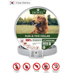 Dewel Pet Dog Collar Anti Flea Ticks Mosquitoes Outdoor Protective Adjustable PET Collar 8 Months Long-term Protection