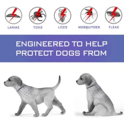 Dewel Pet Dog Collar Anti Flea Ticks Mosquitoes Outdoor Protective Adjustable PET Collar 8 Months Long-term Protection