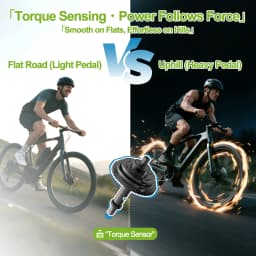 Tongsheng TSDZ16 1000W TSDZ 750W TSDZ2B 500W 250W Motor Mid Drive Torque Sensor Bicycle Electric Bike Conversion Kit 68-73mm