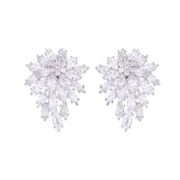 Spring and summer new high-grade delicate micro-inlaid zircon snowflake earrings female s925 silver needle niche design earrings