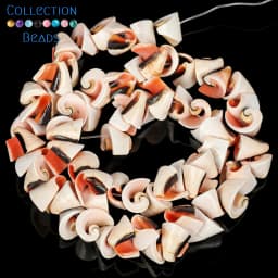 12mm Natural Red-mouthed Snail Shell Loose Bead For Jewelry Making DIY Bracelets Necklace Accessories 15inches