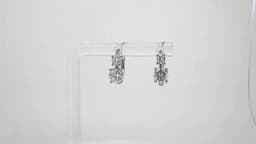 JoiasHome Moissanite Hoop Earrings With Certificate 4mm and 6.5mm D Color 925 Sterling Silver Fashion Women Earrings