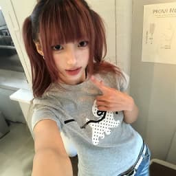 Karrram Japanese Y2k Polka Dot Puppy Print T-shirt 2000s Style Short Sleeve Grey T Shirt Vintage Harajuku Cutecore Tops American