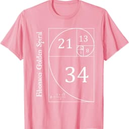 Funny Fibonacci Gold Spiral Nerd Math Teacher Gift Golden Ratio T-Shirt Mathematics Geometry Graphic Tee Casual Science Top