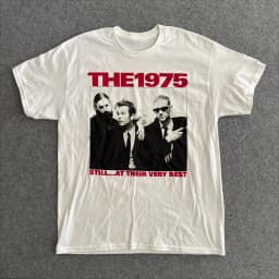 Vintage The 1975 T Shirt, The 1975 on Tour Concert Charcoal Unisex T Shirt Harajuku Men Women Clothing Graphic T-Shirts Clothing