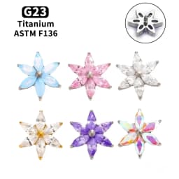 F136 Titanium Six-Petaled Flower Lip Piercing 16G Zirconia Labret Tragus Helix Cartilage Nose Jewelry Earrings