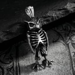 KALEN Fashion Men's Stainless Steel Gothic Owl Skeleton Pendant Oxidized Darkness Punk Style Necklace Box Chain Wholesale Gift