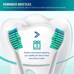 Replacement Toothbrush Heads Compatible with Philips Electric Brush Head 1100 2100 4100 4300 5100 5300 6100 6500 etc 4-12 Pcs