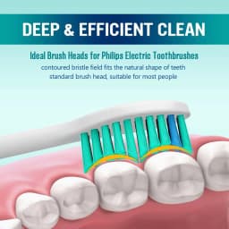 Replacement Toothbrush Heads Compatible with Philips Electric Brush Head 1100 2100 4100 4300 5100 5300 6100 6500 etc 4-12 Pcs