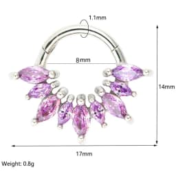 1/4 Pcs 316 Stainless Steel Closed Hinge Inlaid Purple, Pink, White, Orange 5A Zircon Pierced Nose Ring Earrings