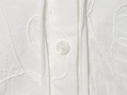 Women's Shirt 2026 Spring New White Short-Sleeve Turn-Down Collar Short Simple Shirt Lively and Cute Unique Fashion