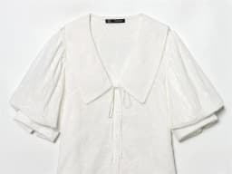 Women's Shirt 2026 Spring New White Short-Sleeve Turn-Down Collar Short Simple Shirt Lively and Cute Unique Fashion
