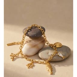 Yhpup Ocean Style Stainless Steel Chain Fish Shell Drop Bracelet Bangle 16K Golden PVD Plated Waterproof Summer Trendy Jewelry