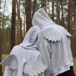 Spring New Cute Personality Street Trend Angel Wings Hooded Solid Color Zipper Sweater for Men and Women Ins Style