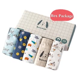 5-Pack Boys Underwear Soft Cotton Boys Briefs Cartoon Race Cars Kids Panties Breathable Knickers For Boys Exquisite Box Package