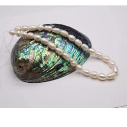 Natural Freshwater Pearl Beads Rice Isolation Loose Beaded for Jewelry Making DIY Personality Bracelet Necklace Accessories Gift