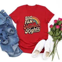 Big Fan of Human Rights T Shirt Retro Rainbow Tshirt Unisex Short Sleeve T Shirts Radicalized By Basic Decency Tee Streetwear