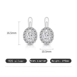Exquisite Ice Flower-Cut Pigeon Egg 925 Sterling Silver Earrings with High-Carat Diamond Egg-Shaped Earrings for Ladies' Jewelry