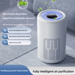 Negative Ion Mini Desktop Home USB Purifier Remove Smoke and Odor and Dust Particles HEPA Filter Efficient Purifying Air