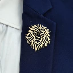 Fashion punk style hollow crown lion stainless steel gold-plated 18K brooch, black-suit accessories, wedding matching set