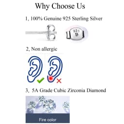 QooLady Real 925 Sterling Silver Cubic Zircon Lucky Leaf Flower Stud Earrings for Women Banquet Party Fine Jewelry Gifts SE026