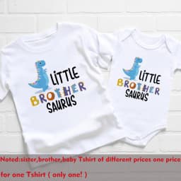 Big Sister Little Brother Dinosaur Print Family Matching Clothes Boys Girls T-shirt Toddler Bodysuit KidsTee Short Sleeve Outfit