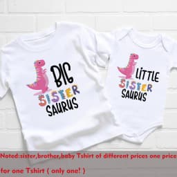 Big Sister Little Brother Dinosaur Print Family Matching Clothes Boys Girls T-shirt Toddler Bodysuit KidsTee Short Sleeve Outfit