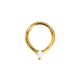 Tribal Fangs Flower Heart Drop Septum Piercing Clicker Segment Nose Rings Daith Conch Hoop Earring 100% 316L Surgical Steel 16G