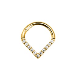 Tribal Fangs Flower Heart Drop Septum Piercing Clicker Segment Nose Rings Daith Conch Hoop Earring 100% 316L Surgical Steel 16G