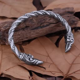 Vikings Stainless Steel Raven Head Bangle Jewelry Men's Biker Punk Hip Hop Creative Design Twist Cable Opening Bracelet