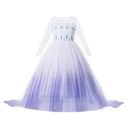 Snow Queen Girls Dress Princess Anna Elsa 2 Dresses Kids Fancy Children Vestidos Birthday Carnival Fancy Party Disguise