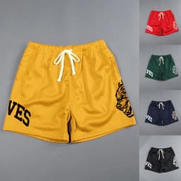 2024 Summer New Men's Fashion Beach Trend Shorts Mesh Breathable Fast Drying Comfortable Multi-Color Outdoor Running Shorts For