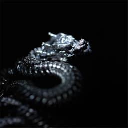 Vintage Three-dimensional Relief Animal Pattern Ring  For Men Jewelry Trendy s925 Ring Male Zodiac Dragon Finger Accessories