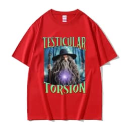 Shadow Wizard Funny T Shirt Testicular Torsion Meme Graphic Tee Shirt Men Women Retro Gothic Oversized Short Sleeve T-shirt Tops