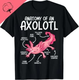 Axolotls of The World Kawaii Types of Axolotl Fish Amphibian T-Shirt Cute Tshirts Women Clothing Tops Cotton Kawaii Clothes