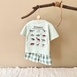 2Pcs Set New Baby Boy Girl Clothing Set Toddler Baby Clothes Dinosaur Print T-shirt+Grid Shorts Newborn Boy Girl Summer Outfits