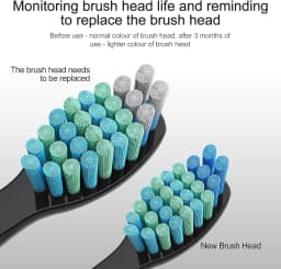 Replacement Electric Toothbrush Heads Compatible With Fairywill FW-507/508/551/515/917/959/2011/D1/D3/D7/D8 Electric Toothbrush