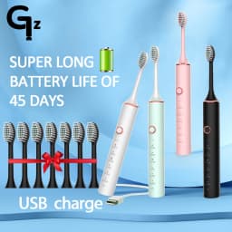 New 2024 N100 Sonic Electric Toothbrush Adult Timer Brush 6 Mode USB Charger Rechargeable Tooth Brushes Replacement Heads Set