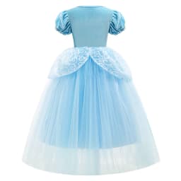 Girl Fancy Birthday Party Cinderella Ball Gown with Gloves Embroidery Floral Puffy Kids Princess Party Dress Fairy Glass Slipper