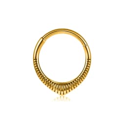 Tusk Flower Heart Waterdrop Moon Branch Chain Septum Piercing Daith Conch Hoop Earring Clicker Segment Ring 316 Surgical Steel