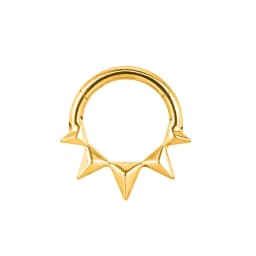 Tusk Flower Heart Waterdrop Moon Branch Chain Septum Piercing Daith Conch Hoop Earring Clicker Segment Ring 316 Surgical Steel